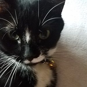 Meet your Posher, Kimberlee